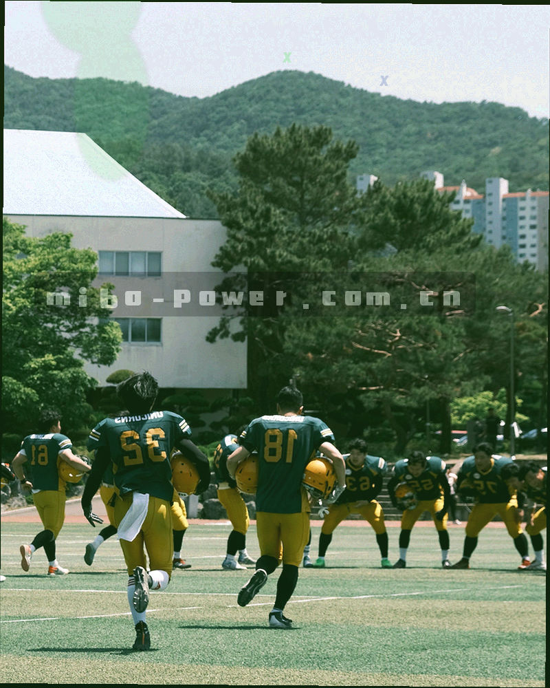 深色移动端界面线稿，底部胶囊按钮标出收藏夹、资料库与场馆查询的拇指可达区域